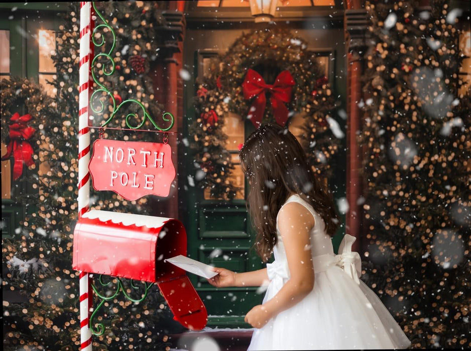 Dickens Home for Christmas (JA)