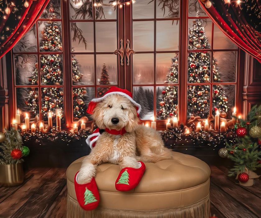 Window of Festive Elegance Sparkle (BD)