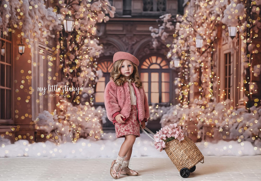 Paris for the Holidays Stroll (JA)