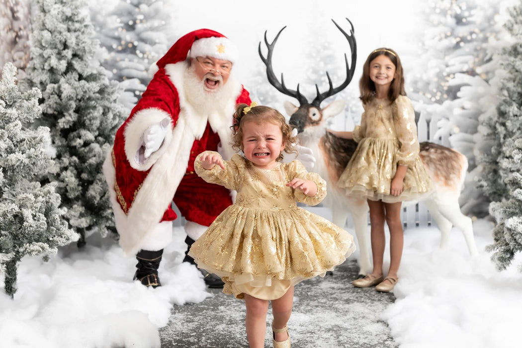 Bundle Jack Frost Forest Lights + Jack Frost Entry Lights