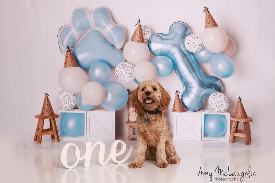 Pawtastic Birthday Blue (AZ)