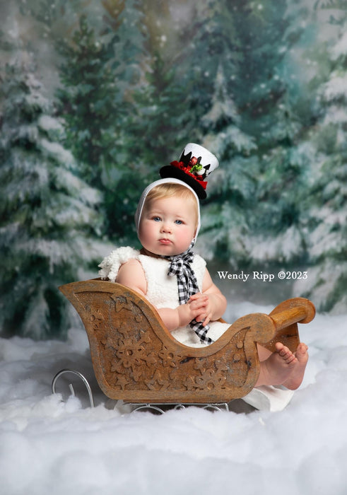 Sweeps Alpine Snow Fall