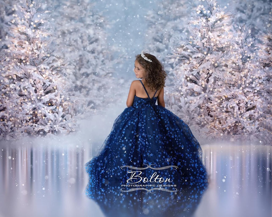 Christmas Trees in Snow with Lights (VR)