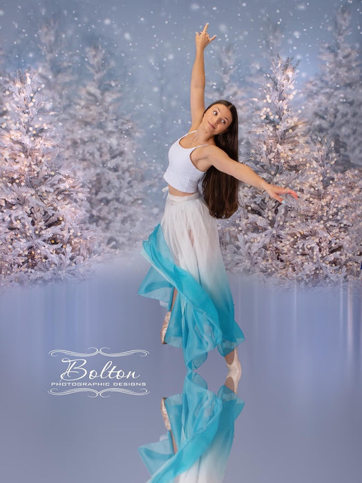 Christmas Trees in Snow with Lights (VR)