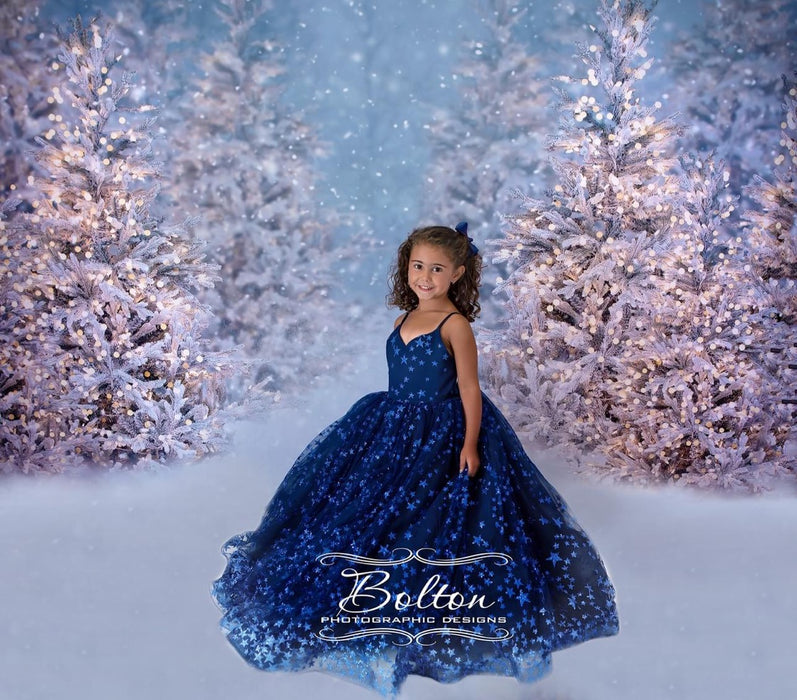 Christmas Trees in Snow with Lights (VR)