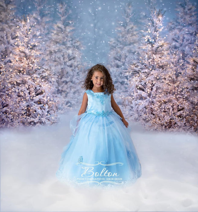 Christmas Trees in Snow with Lights (VR)