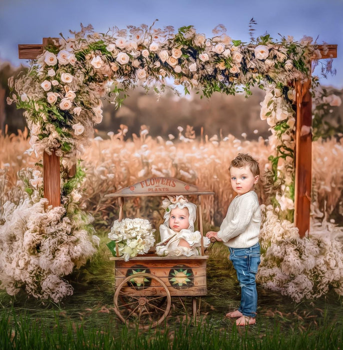 Baby Breath Arch (JA)