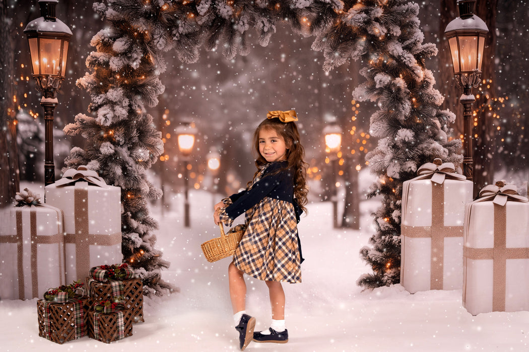 Present Path Frosty (JA)