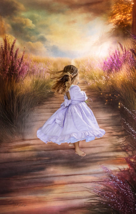 Lavender field Sweep (VR)