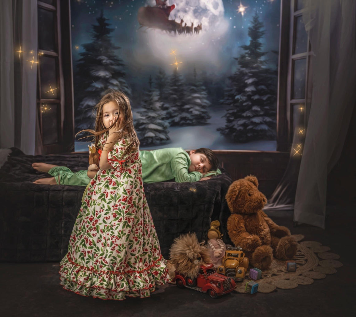 Baby Dream Backdrops