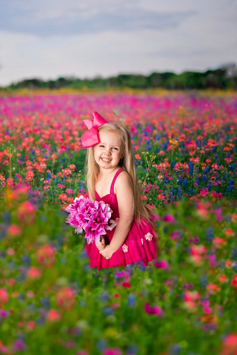 Chasing Wildflowers Overlay