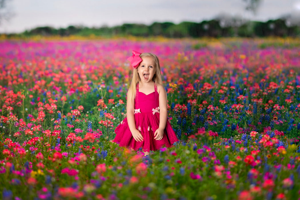 Chasing Wildflowers (BD)