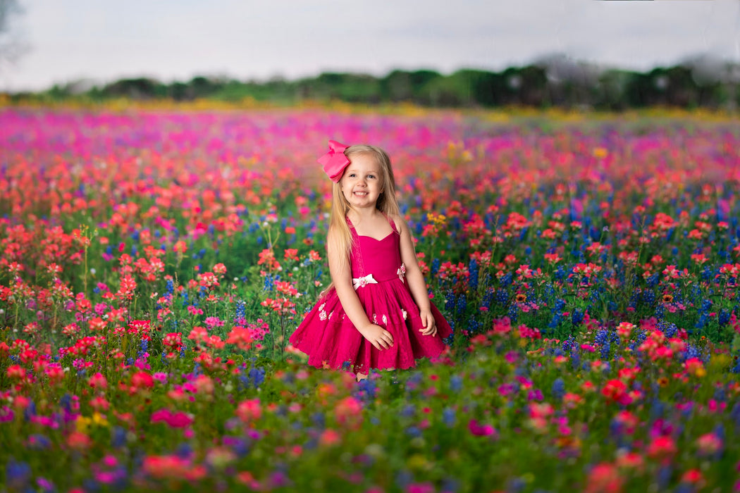 Chasing Wildflowers (BD)