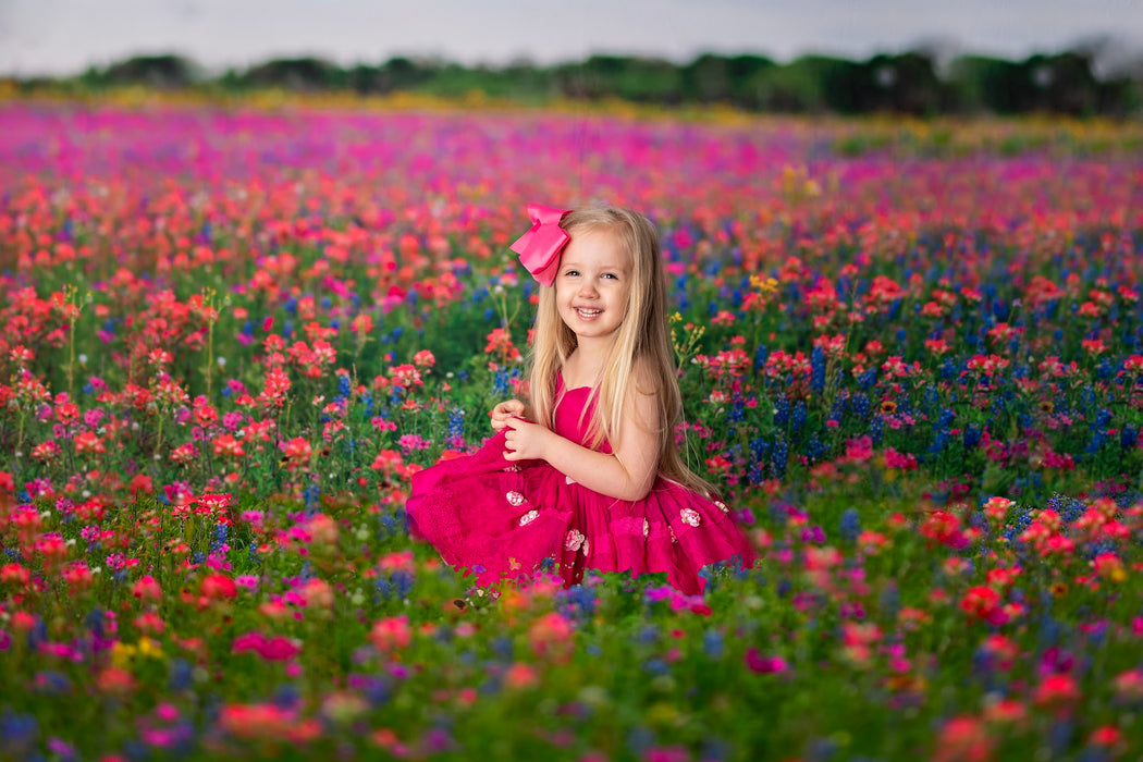 Chasing Wildflowers Overlay