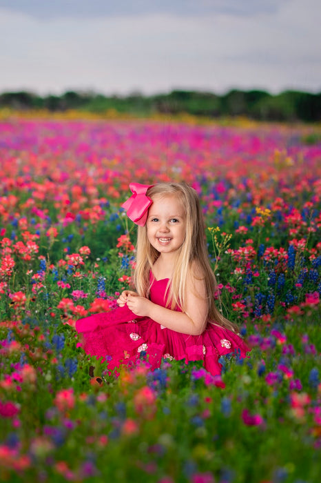 Chasing Wildflowers Overlay