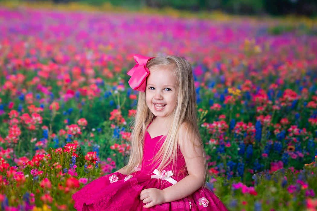 Chasing Wildflowers (BD)