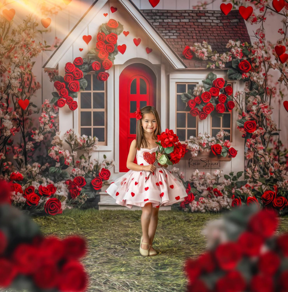 Baby Dream Backdrops