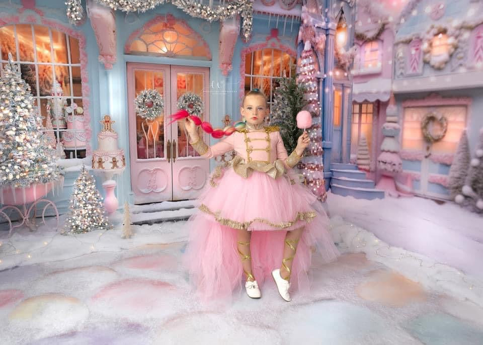 Fabric Room Sugar Street and Sugar Bakery and Sugar Stones with Snow (JA)