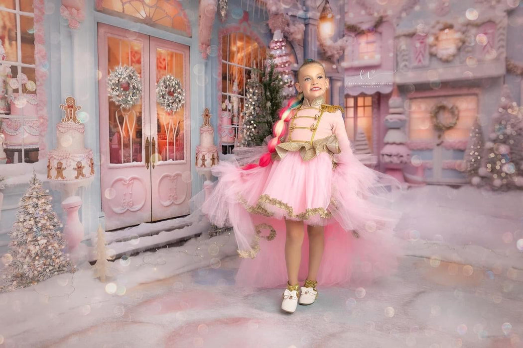 Fabric Room Sugar Street and Sugar Bakery and Sugar Stones with Snow (JA)