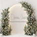Illuminate the Holidays White (CC)