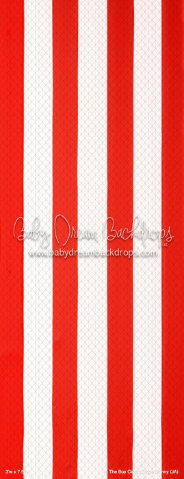 In The Box Circus Stripe Skinny (JA)
