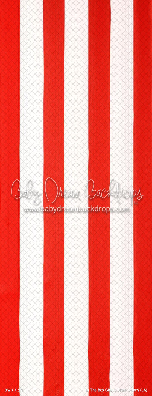 In The Box Circus Stripe Skinny (JA)