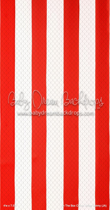 In The Box Circus Stripe Skinny (JA)