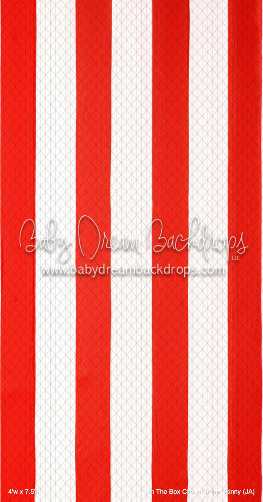 In The Box Circus Stripe Skinny (JA)