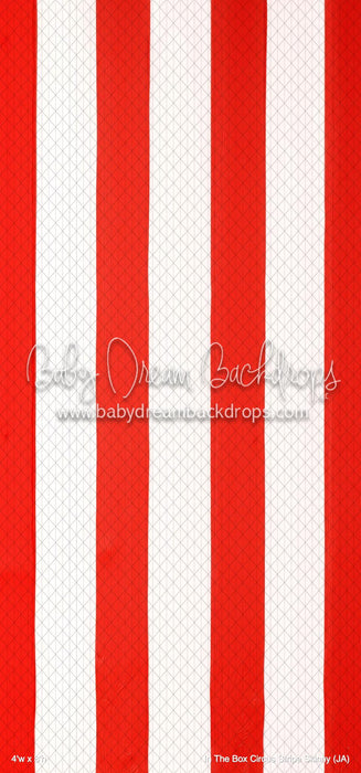 In The Box Circus Stripe Skinny (JA)