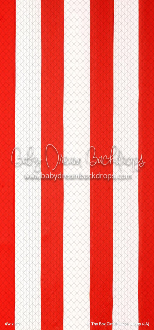 In The Box Circus Stripe Skinny (JA)