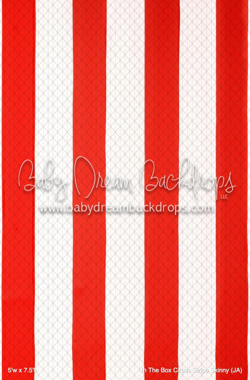 In The Box Circus Stripe Skinny (JA)