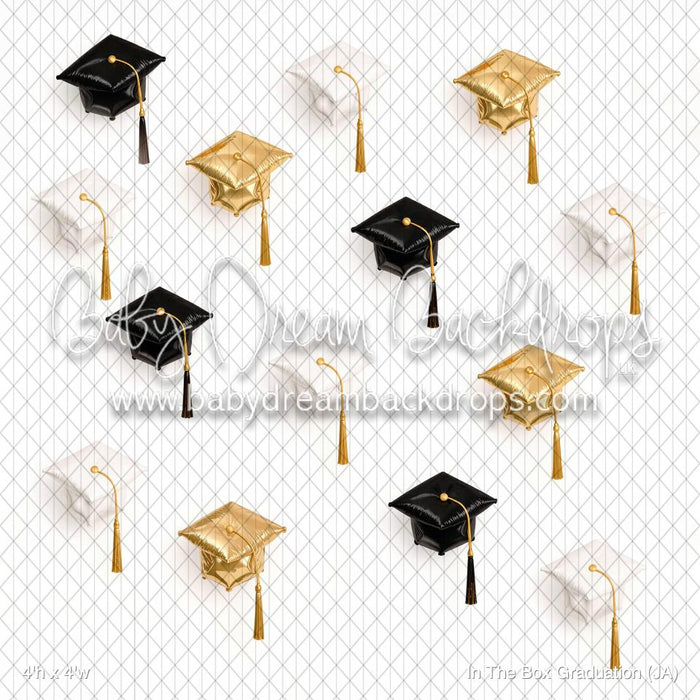 In The Box Graduation (JA)