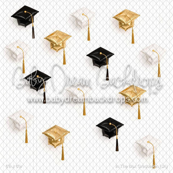 In The Box Graduation (JA)