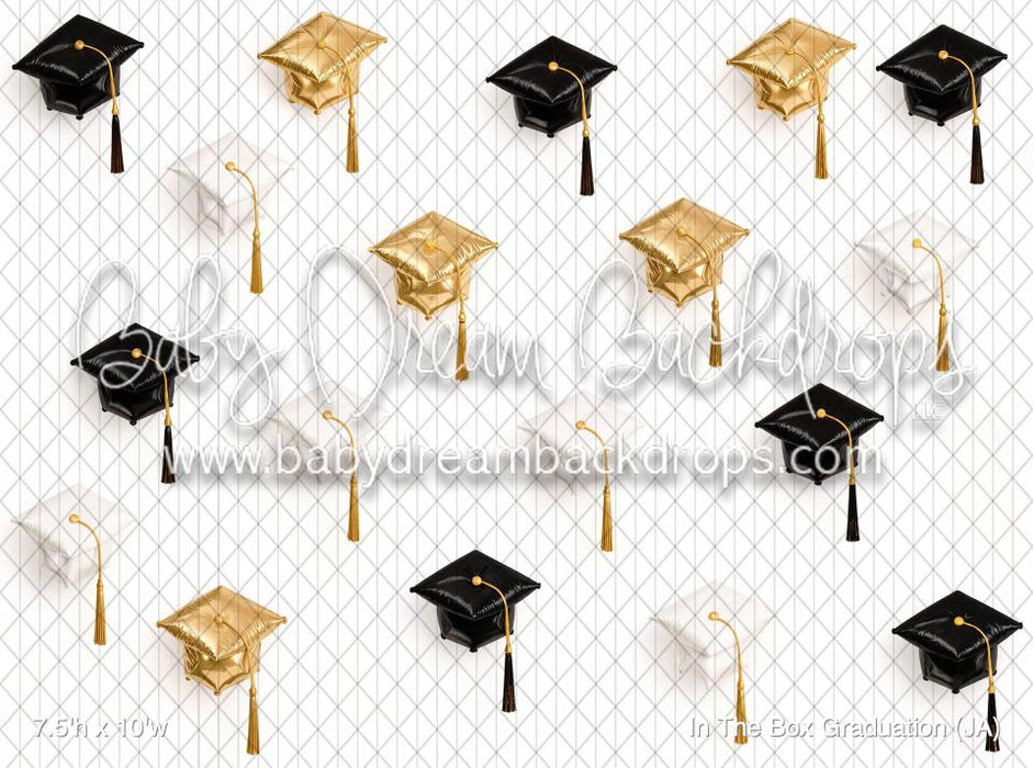 In The Box Graduation (JA)