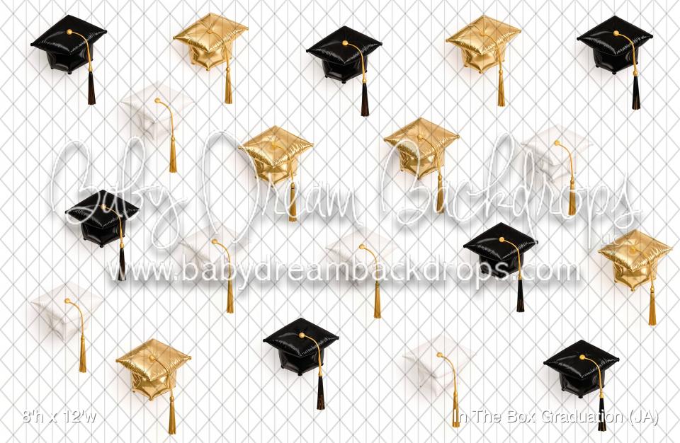 In The Box Graduation (JA)