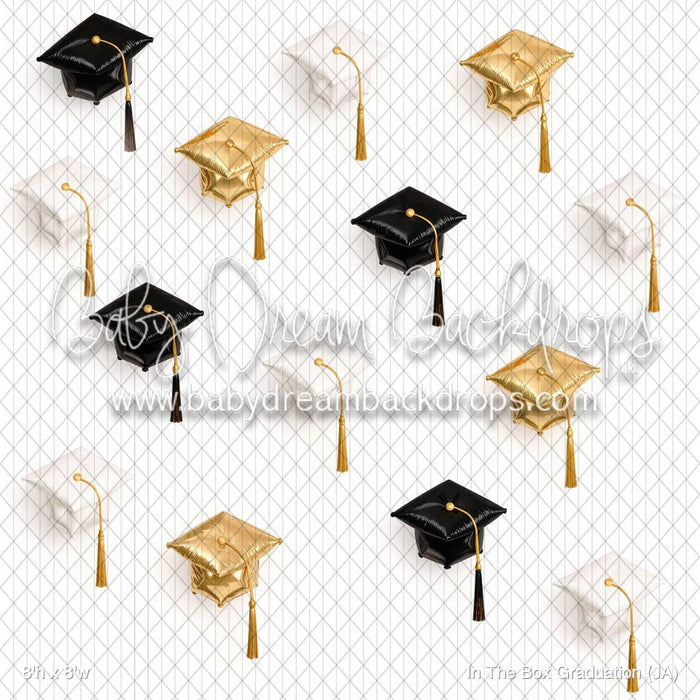 In The Box Graduation (JA)