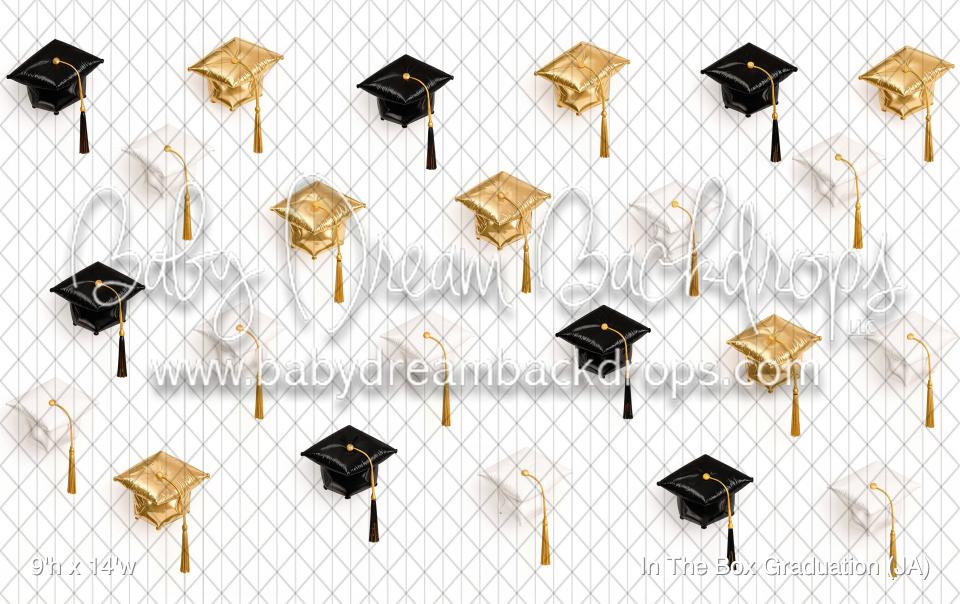 In The Box Graduation (JA)