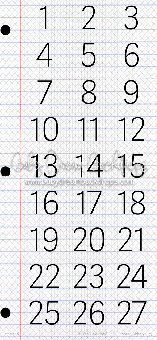 In The Box Notebook Numbers Skinny (JA)