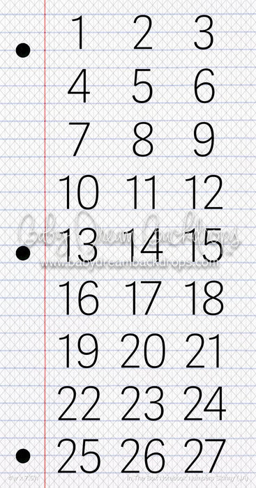 In The Box Notebook Numbers Skinny (JA)
