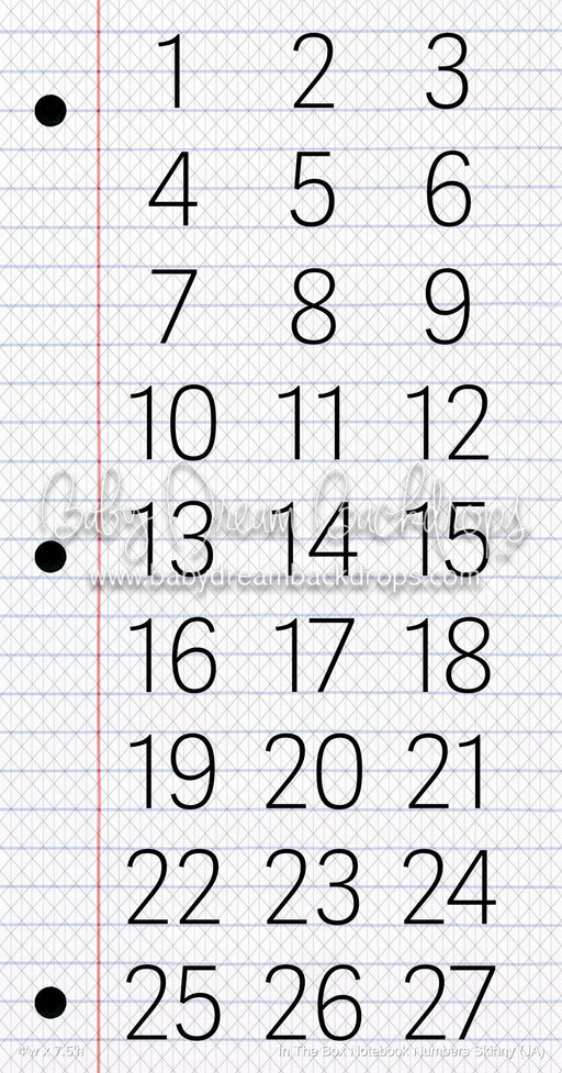 In The Box Notebook Numbers Skinny (JA)