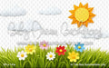 In The Box Summertime (JA)