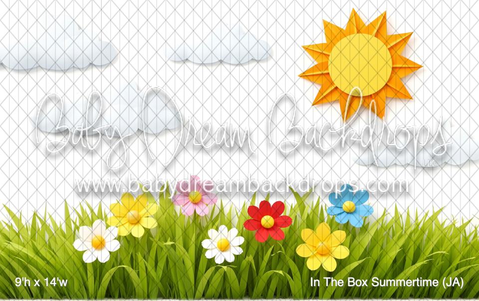 In The Box Summertime (JA)