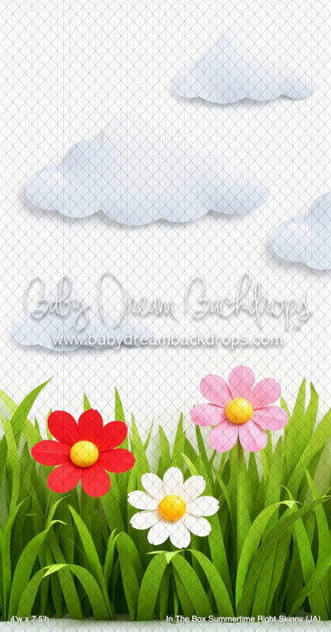 In The Box Summertime Right Skinny (JA)