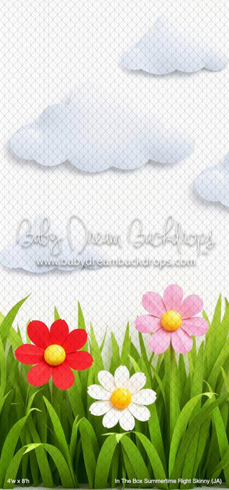 In The Box Summertime Right Skinny (JA)