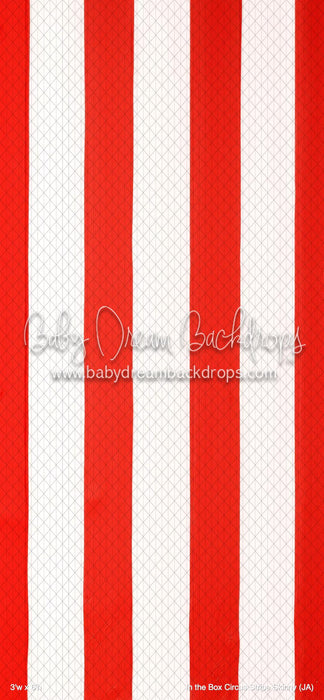 In the Box Circus Stripe Skinny (JA)