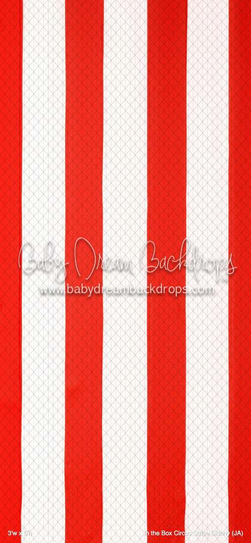 In the Box Circus Stripe Skinny (JA)