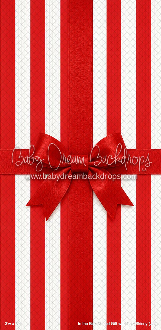 In the Box Striped Gift with Bow Skinny (JA)