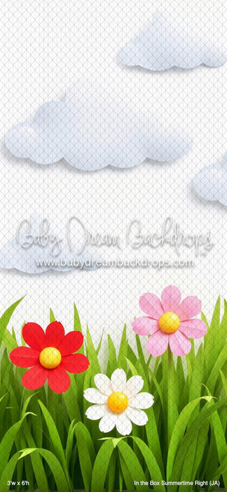 In the Box Summertime Right (JA)