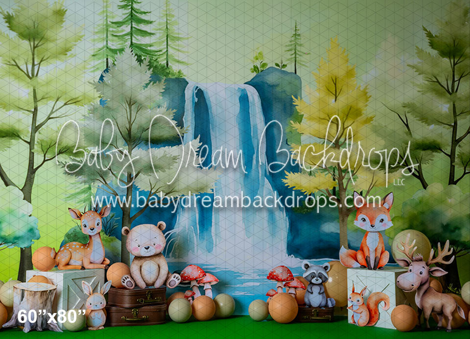 In the magic forest (BC)