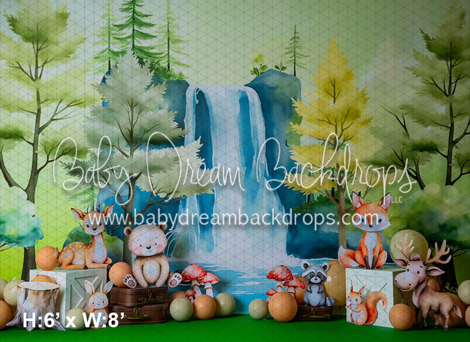 In the magic forest (BC)